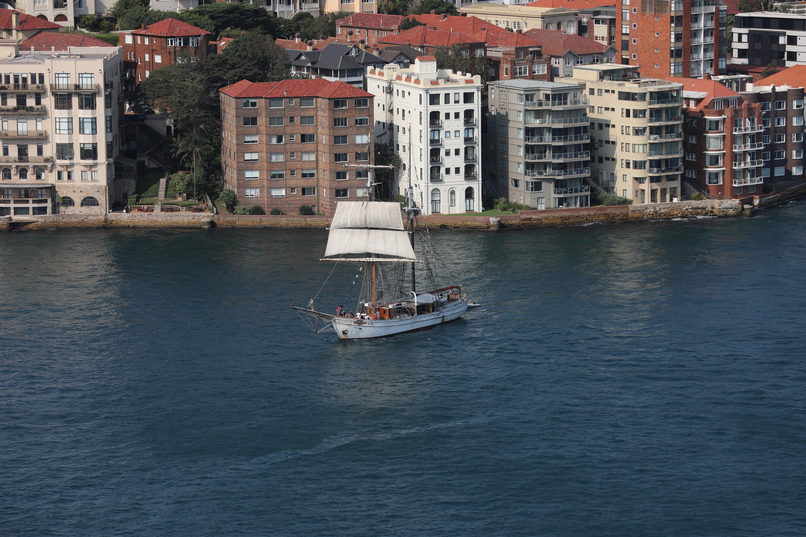 2020 01 30 16 43 57 Canon EOS 5D Mark IV 0017